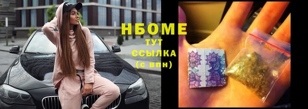 гидра Арсеньев