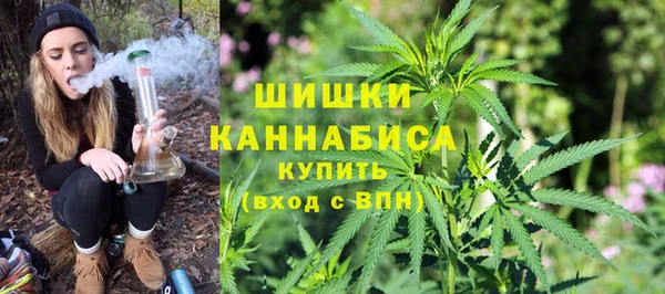 гидра Арсеньев