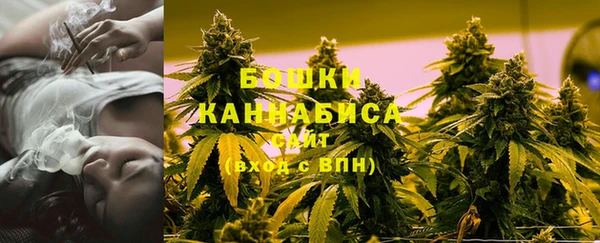 гидра Арсеньев