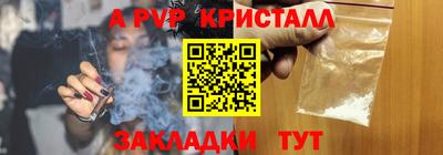 крисы Моздок