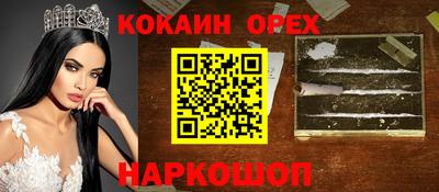 крисы Моздок