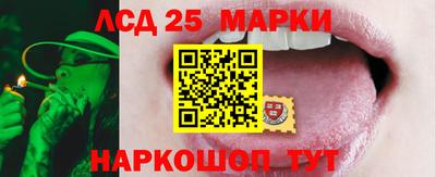 крисы Моздок