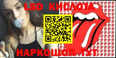 крисы Моздок