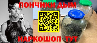 крисы Моздок