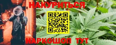крисы Моздок