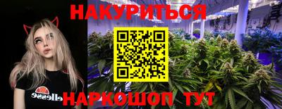крисы Моздок