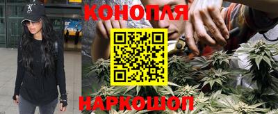 МДПВ Можга