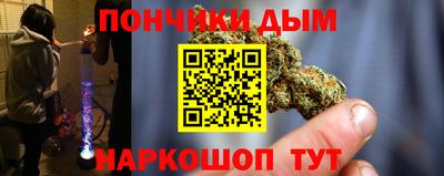 крисы Моздок