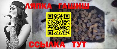 крисы Моздок
