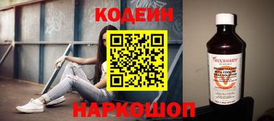 крисы Моздок